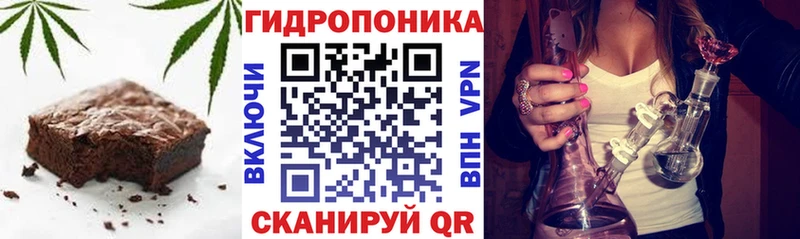 Canna-Cookies марихуана  Городище 