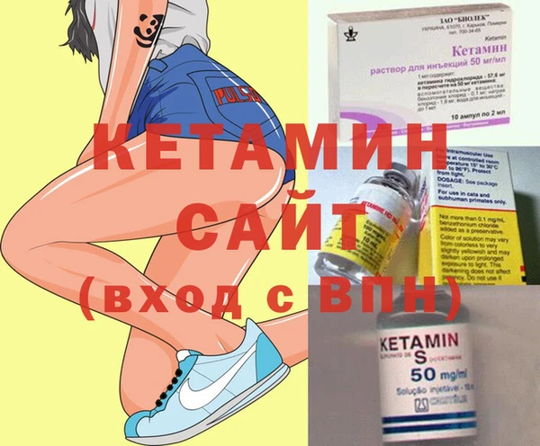 стаф Инта