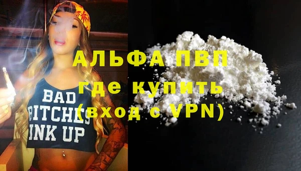 эйфоретик Каменка
