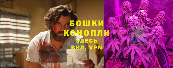 стаф Инта