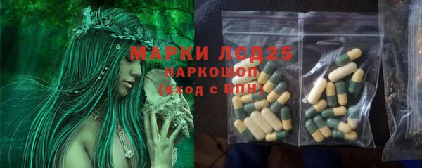 стаф Инта