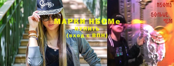 стаф Инта