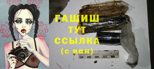 стаф Инта