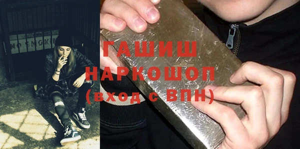 стаф Инта
